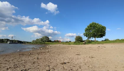 Foto auf Alu-Dibond River landscape, river Rhine, near Arnhem (Netherlands), with konik horses, a boat and a swimmer © Marcel