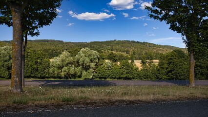 Ein Wiesengrund beim Ort Waldfisch.