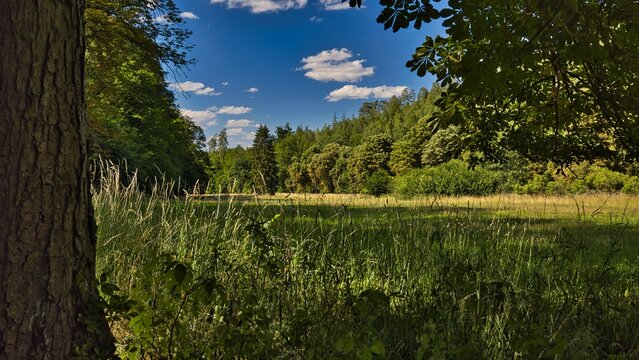Das Jagdrevier eines Greifvogels bei Etterwinden.