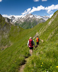 Fototapeta na wymiar Summer in Austria, couple hiking with a view of the Hohe Tauern, Pinzgau, Salzburger Land, Austria, Europe