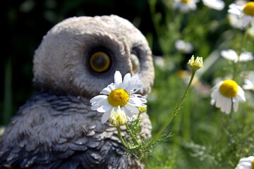 Fairy-tale figures on a background of flowers, the front and back backgrounds are blurred