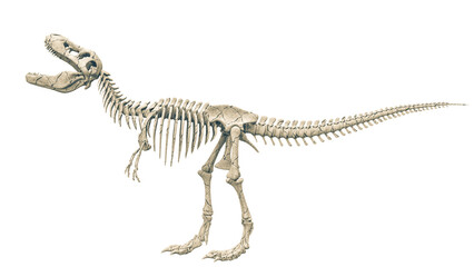 tyrannosaur skeleton is angry side view © DM7