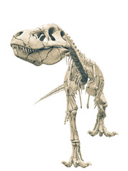 tyrannosaur skeleton just walking