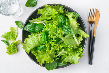 Diet Salad made from a mixture of fresh basil leaves and lettuce on a gray background. A mixture of...