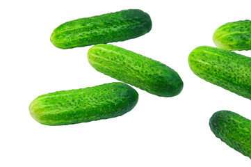 green cucumbers on a white background. ripe gherkins on a table. fresh vegetables on a light texture. the concept of growing cucumbers