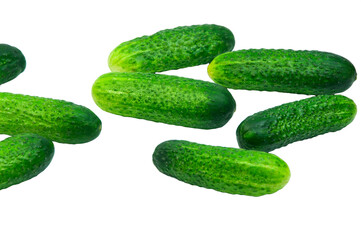 green cucumbers on a white background. ripe gherkins on a table. fresh vegetables on a light texture. the concept of growing cucumbers