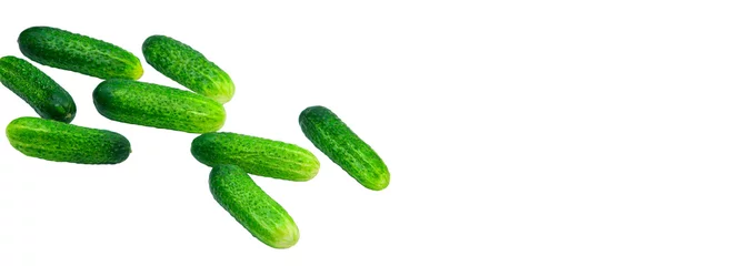Photo sur Plexiglas Légumes frais concombres verts sur fond blanc. cornichons mûrs sur une table. légumes frais sur une texture légère. le concept de la culture des concombres