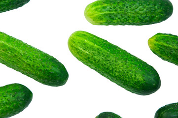 green cucumbers on a white background. ripe gherkins on a table. fresh vegetables on a light texture. the concept of growing cucumbers