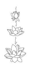 A lotus flower on a white background. Tattoo in the style of a lotus. A lotus image for the logo. A symbol of Buddhism. Flower illustration. Vector.