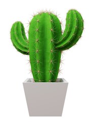 Cactus Saguaro picture. 3d rendering.	