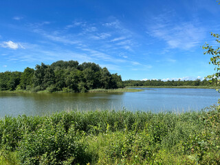 Lake in the kuinderbos