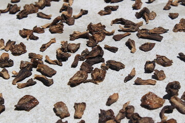 Dried mango fryums or Currant .mango are drying in the direct sunlight in the morning to make fryums