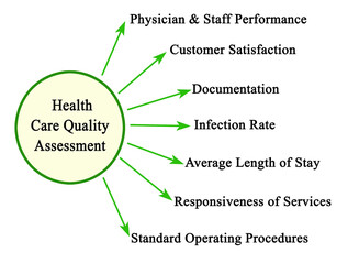  Assessment of Health Care Quality