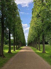 alley in the park