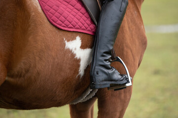 mounted English rider on colorful horse