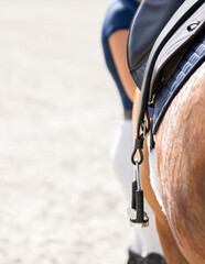 Woman standing next to tacked up horse