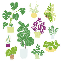 set of hand drawn green plants in pots