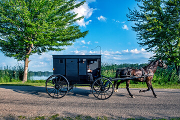 Fototapeta na wymiar Amish Buggy on rural Indiana road in summer.