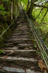 Steps leading to the waterfalls near Devil's Bridge, Ceredigion, Wales, UK.