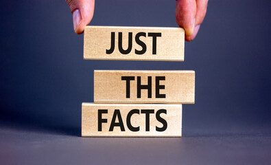 Just the facts symbol. Concept words Just the facts on wooden blocks on a beautiful grey table grey...