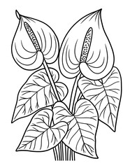 Anthurium Flower Coloring Page for Adults - obrazy, fototapety, plakaty