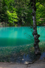 Blue lake in Kolorowe Jeziorka lakes in Poland. © Marcin