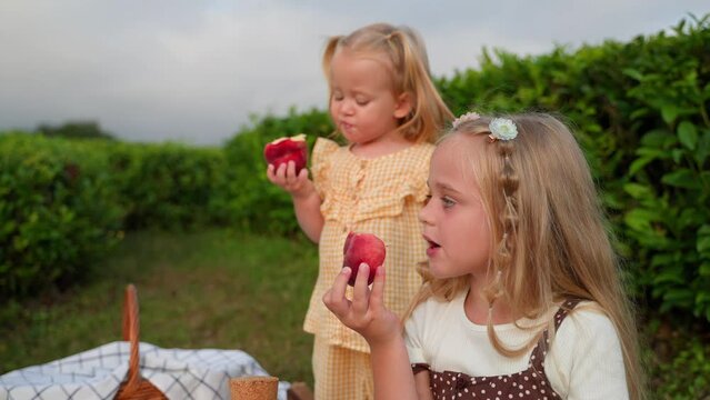picnic in garden in summer, children are eating peaches