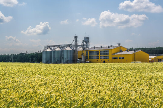 Silos And Agro-industrial Livestock Complex On Agro-processing And Manufacturing Plant With Modern Granary Elevator. Chicken Farm. Rows Of Chicken Coop