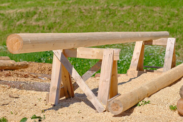 Pine log prepared for sawing on trestles