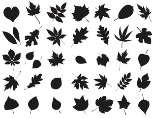 set of leaves black silhouette, isolated, vector