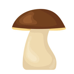 boletus mushroom in flat style, isolated, vector