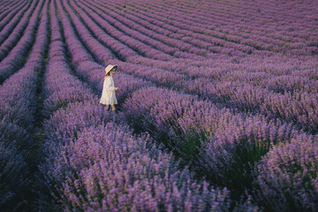 Happy girl in straw hat and white dress enjoying flower fragrance in lavender field.