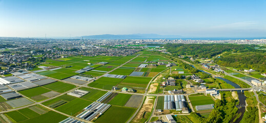 Panoramic aerial view of planted fields and greenhouses on edge of city