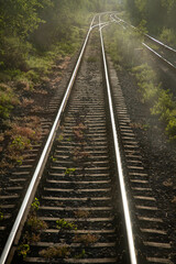 Fototapeta premium train tracks slow travel concept