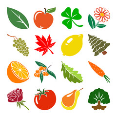 Vector organic icon set with nature symbols