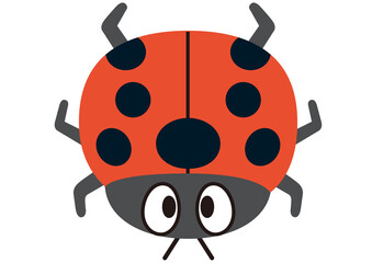 Obraz premium てんとう虫,昆虫,虫,虫取り,春,ナナホシテントウ,赤,秋,かわいい,生き物,夏休み,動物,昆虫採集,３月,４月,５月,可愛い,生物,挿絵,夏,自然,飼育,成虫,６月,７月,８月