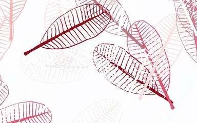 Light Red vector abstract backdrop with leaves.