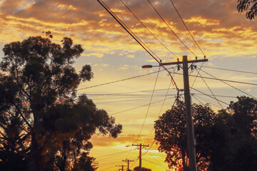 vibrant skies over suburban power lines and trees in silhouette