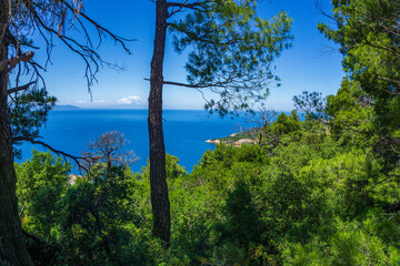 Beautiful natural scenery on the road to Megali Ammos or large sand beach in western Alonissos island, Greece