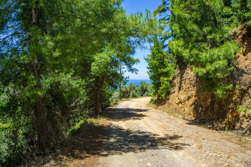 Beautiful natural scenery on the road to Megali Ammos or large sand beach in western Alonissos...