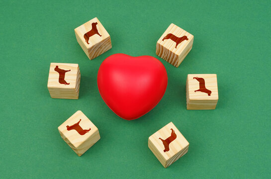 On a green surface, a heart and cubes depicting dogs