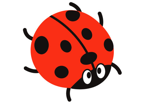 てんとうむし Images Browse 5 Stock Photos Vectors And Video Adobe Stock