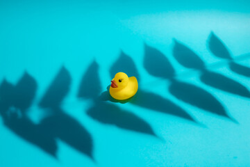 Yellow rubber toy duck on a blue background with leaf shadow.