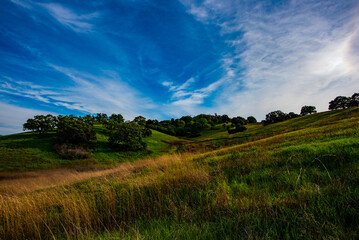 Fototapeta premium Rolling Hills