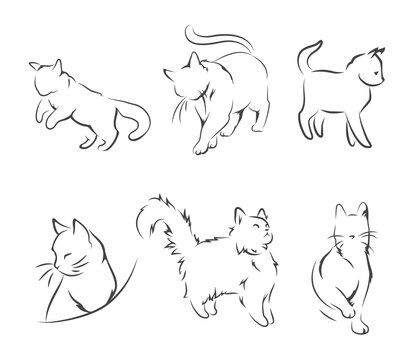 Cats in the form of abstract lines on a white background. Vector illustrations