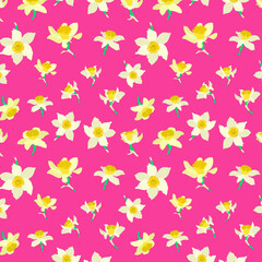 Decorative vector pattern with flowers of narcissus on pink background. Spring - summer floral theme for design.