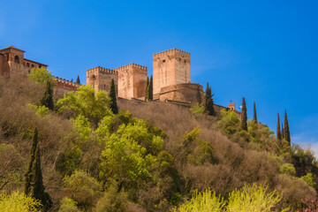Fototapeta premium View of the Alhambra in Granada seen from the Albayzin district