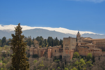 Fototapeta premium View of the Alhambra in Granada seen from the Albayzin district
