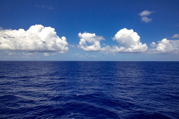 Fototapeta premium 珊瑚海