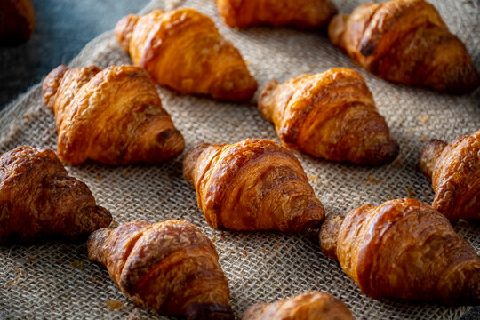 Freshly baked croissants.
Delicious croissants image.